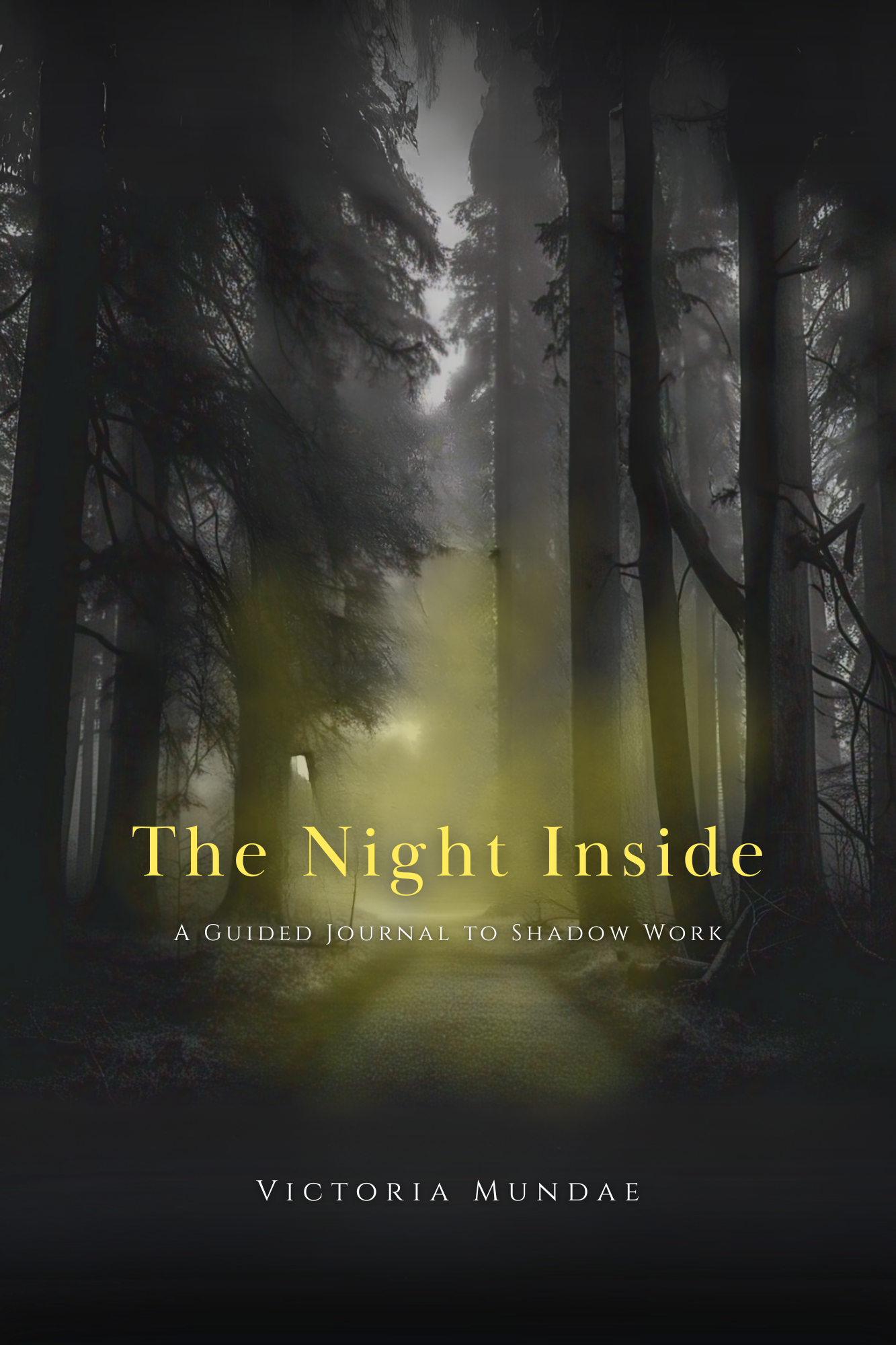 The Night Inside: A Guided Journal to Shadow Work